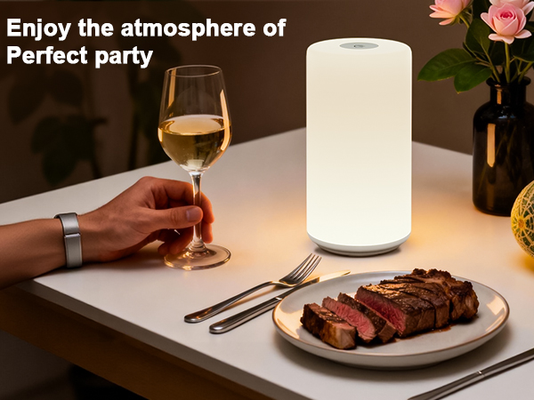 touch control table lamp