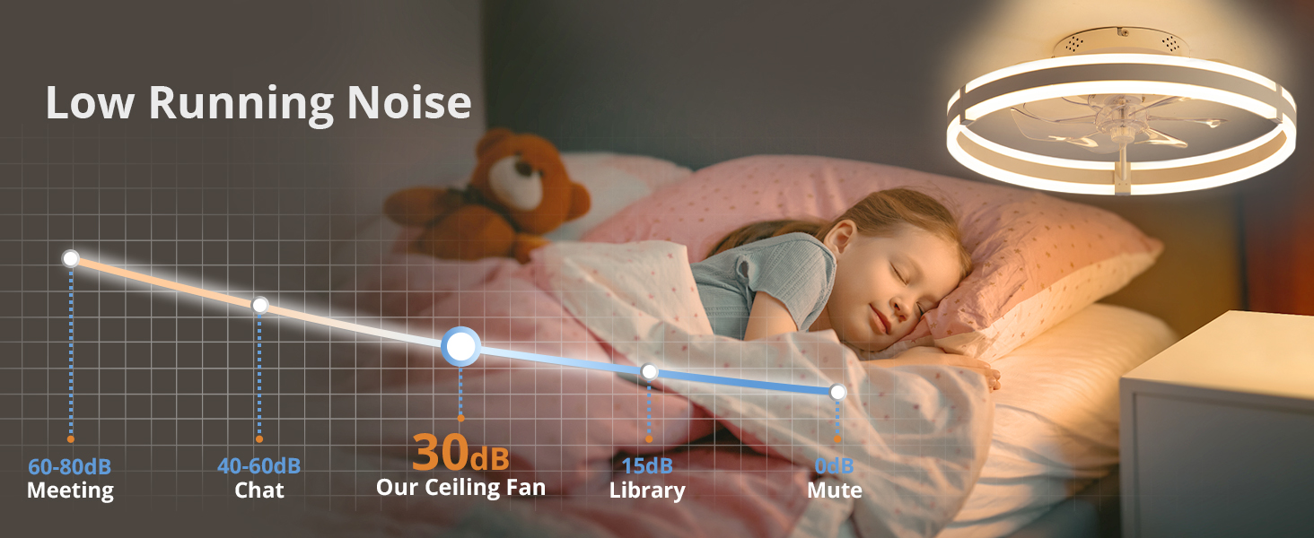Ceiling Fans with Lights