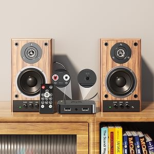 Connect to vintage amplifiers