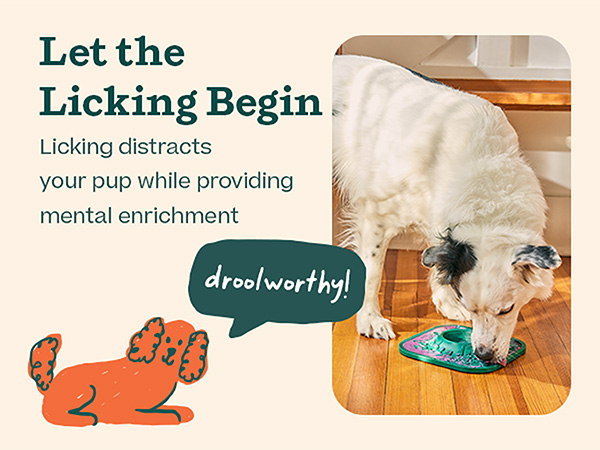 Let the licking begin: Licking distracts your pup while providing mental enrichment.