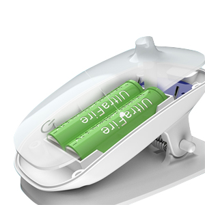 Lithium Ion Battery