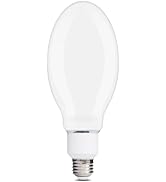 ALAMPEVER ED28 LED Light Bulb 100W HID Equivalent, 4000LM High Brightness, 5000K Daylight White, ...