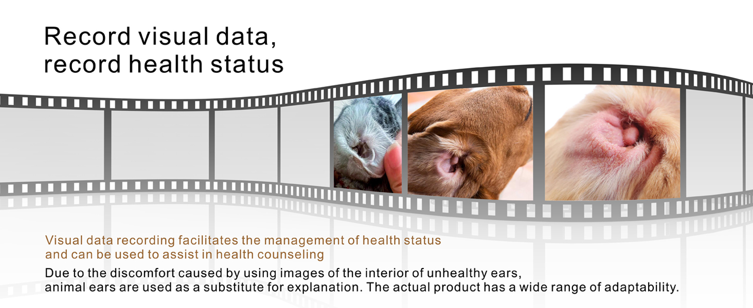 Photo and video recording function