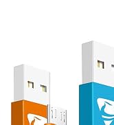 Aioneus