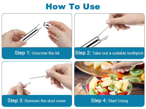 Portable Toothpicks 