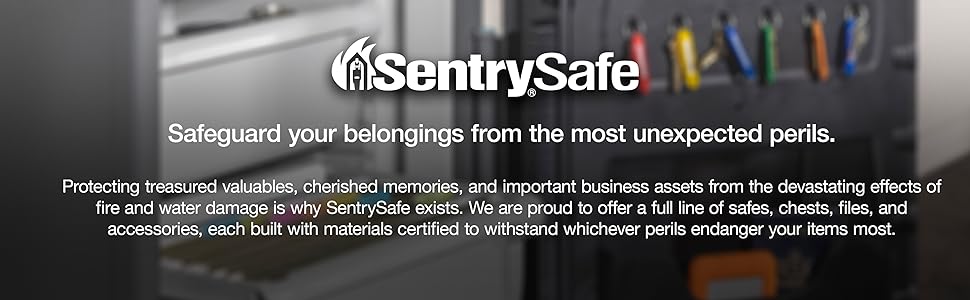 a logo with text describing Sentry Safeamp;#39;s mission