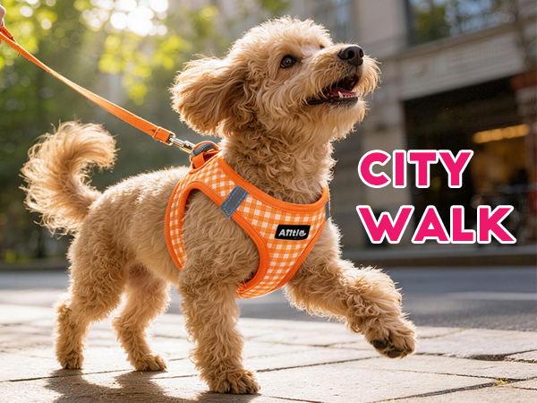AIITLE No Pull Dog Harness and Leash Set, Step in No Chock Soft Mesh Dog Harnesses 