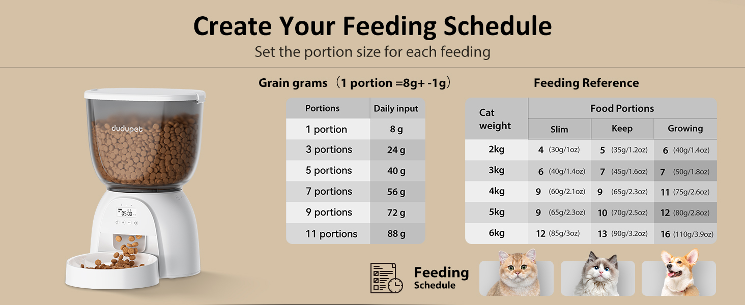 Automatic Cat Feeder