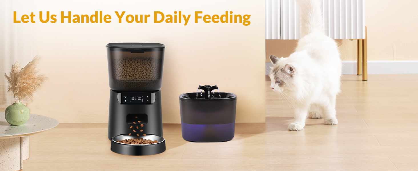 cat feeder