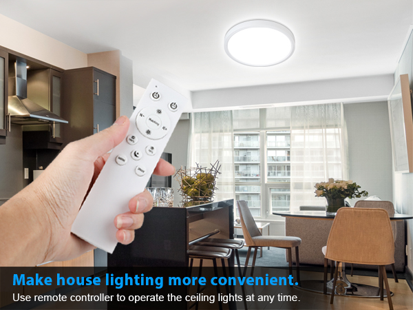 Ceiling Light with Remote Control