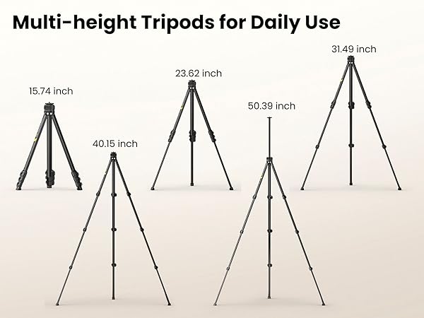 Height