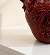 MealFlow Pro Anatomical Heart Pencil Holder, Resin Organ-Shaped Pen Cup Desk Organizer Decor, Mak...