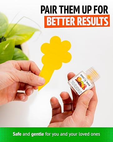 dual method pest control for indoor plants