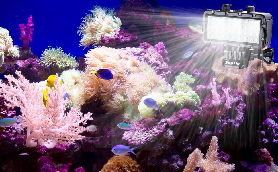 dive light underwater light gopro light gopro lights waterproof lights for gopro gopro bike light 