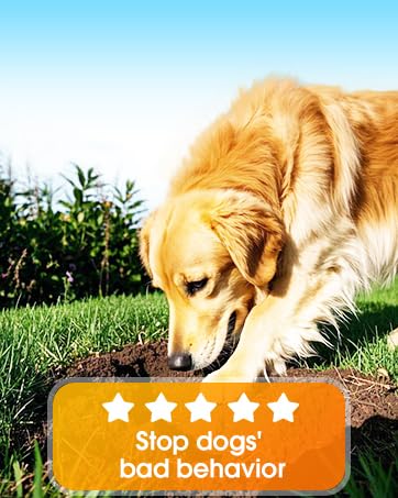 dog bark deterrent