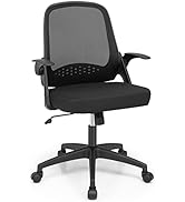 COSTWAY Mesh Office Chair, Adjustable Swivel Executive Chair with Flip-up Armrest, Lumbar Support...