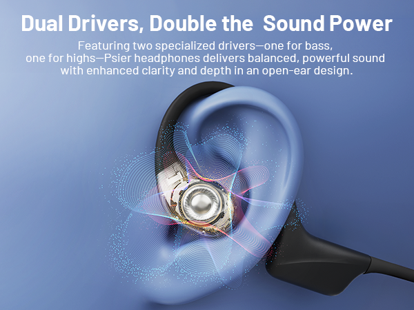 dual drivers headphones