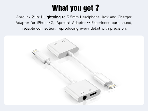 iphone dongle