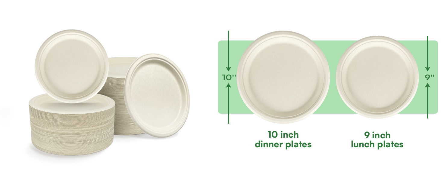 10 inch paper plates