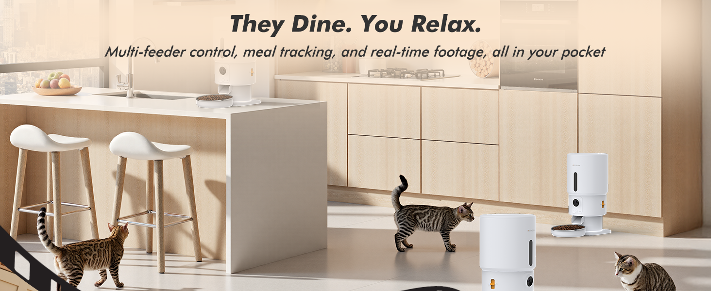 automatic cat feeder cat food dispenser pet feeder