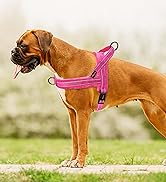 Didog Soft Flannel Padded Dog Vest Harness, No Pull/Quick Fit Reflective Dog Strap Harness, Easy ...