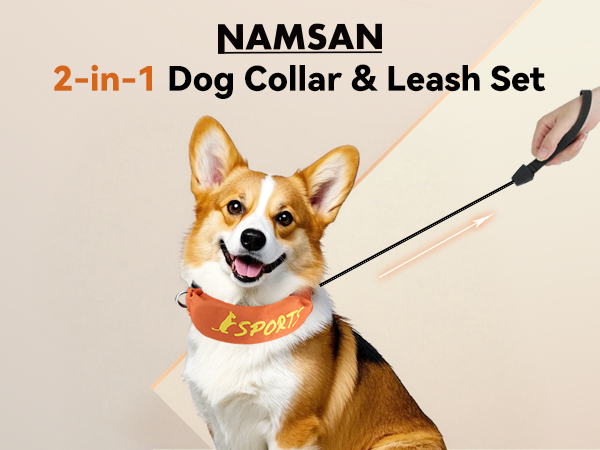 Dog Collar