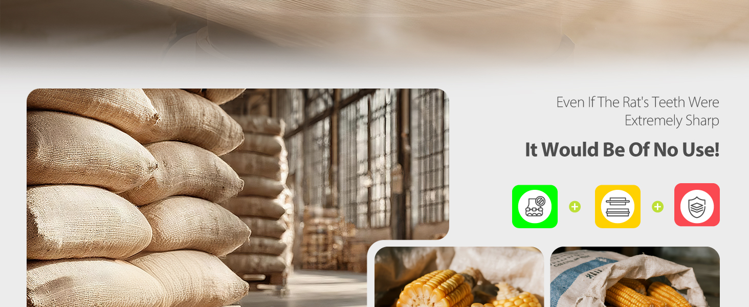 Humane Mouse Traps, 12 inches Enlarged No Kill Rat Live Traps for Chipmunks,