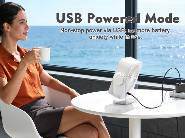 desk fan usb