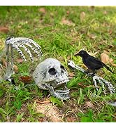 SpringFlower Halloween Skeleton Decorations- Skeleton Stakes with Crow for Outdoor Decoration, Sc...