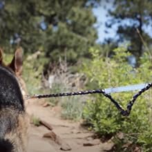Infinity Tool creating slack in a dog leash