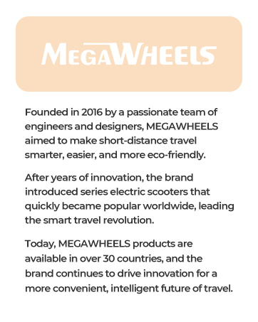 S2A Electric Scooter