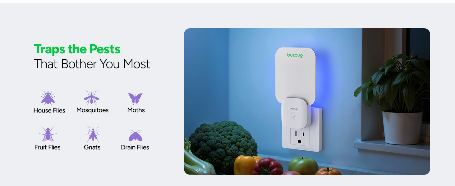 This fruit fly killer has no zapping, odors, or mess. The glue cards face inward