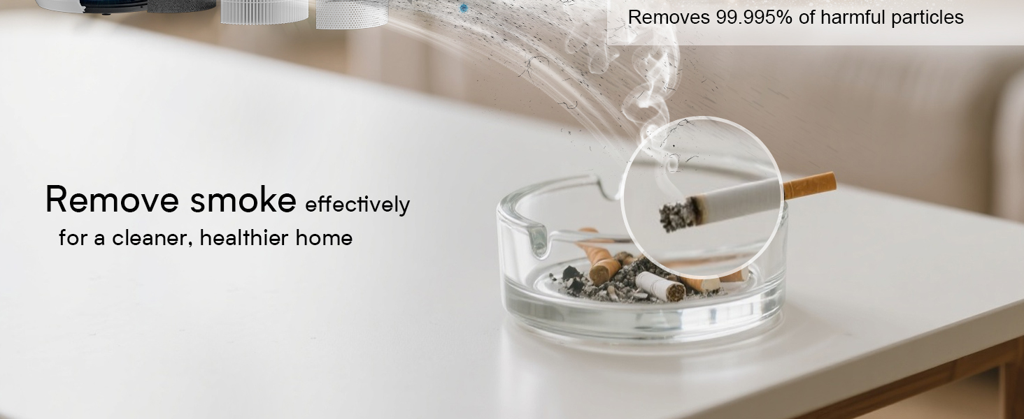 remove smoke smell from house