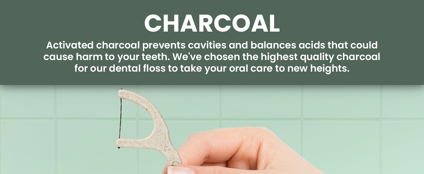 Dental Floss Picks
