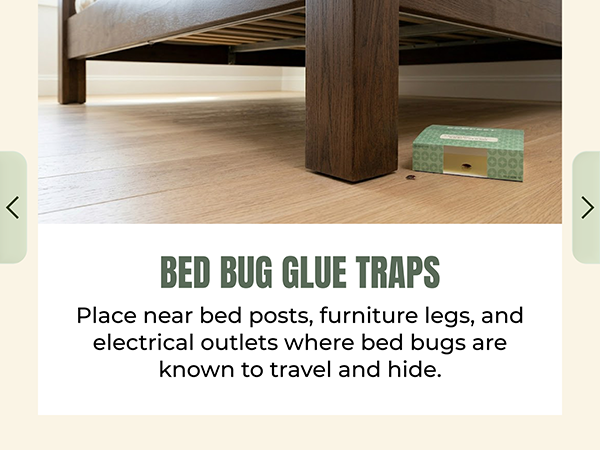 bed bug killer indoor safe pets kids bedbugs