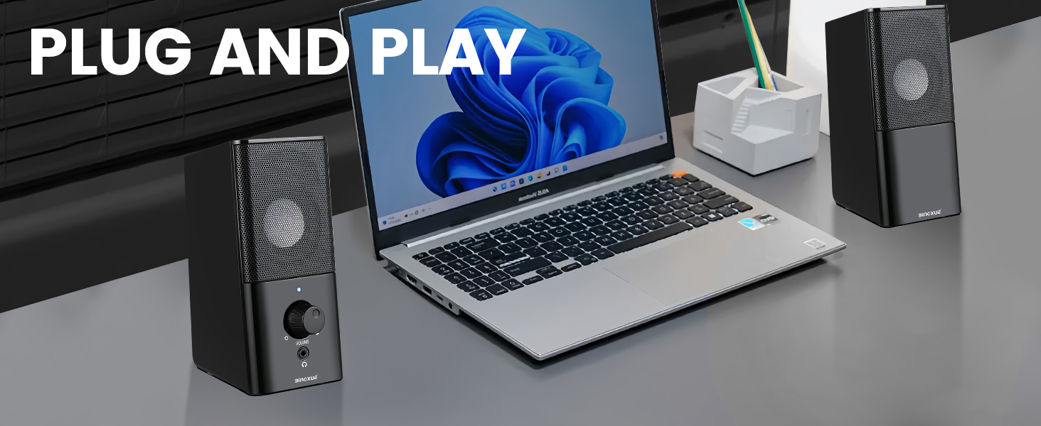 instant plug and play function