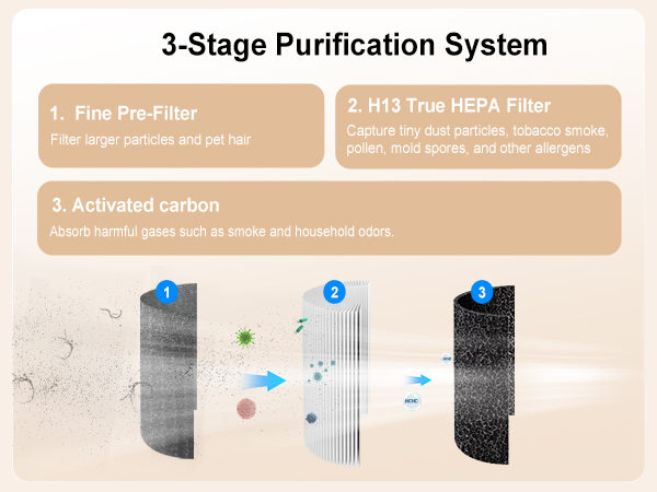3-Stage