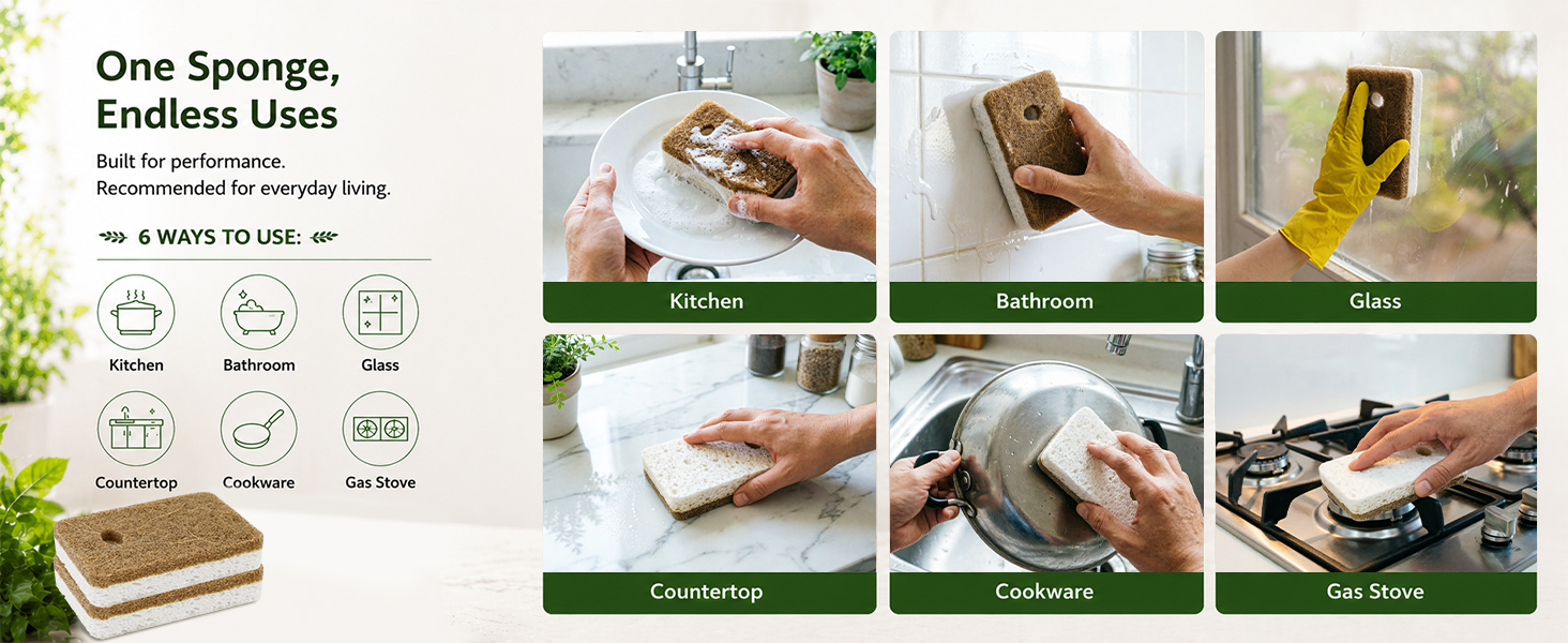sponges for dishes