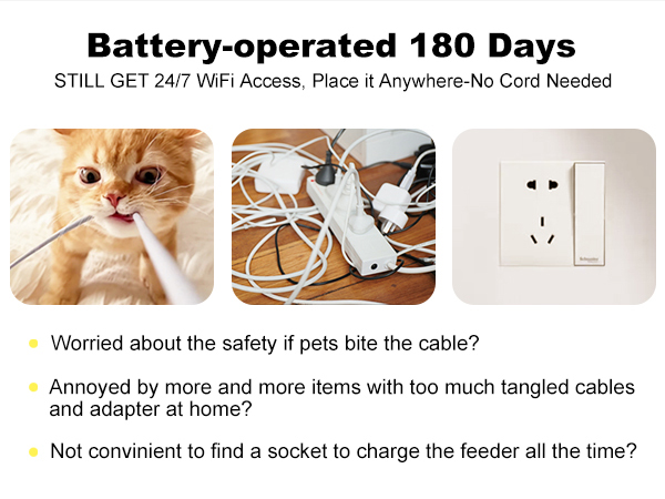 Auto cat feeder with 180-Day Ultra-Long Battery Life, Rechargeable Batter