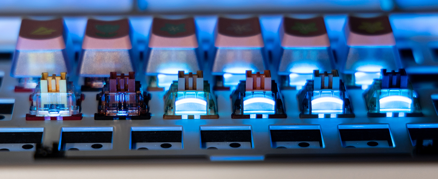 Linear Mechanical Keyboard Switch