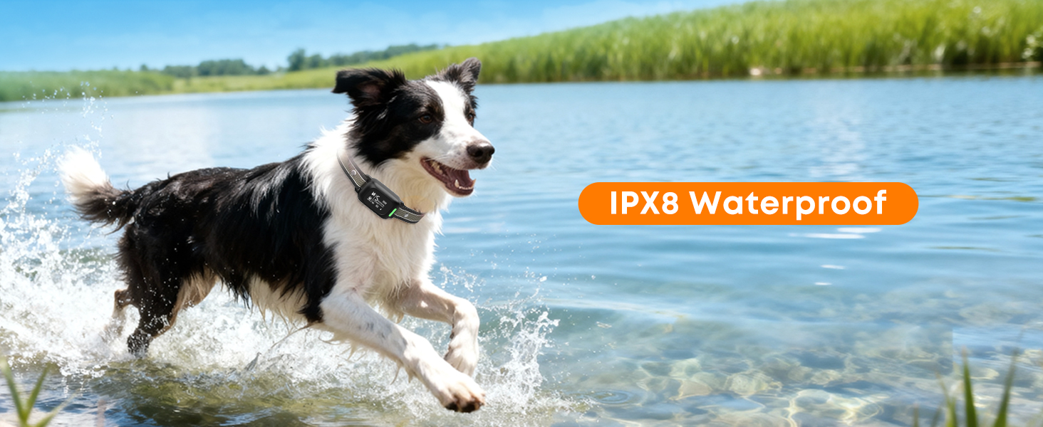 dog shock collar for large dogs