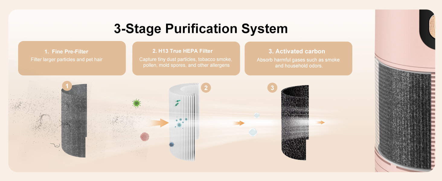 3-Stage