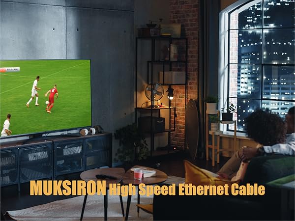 Ethernet Cable 25 ft