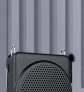 S368 Voice Amplifier