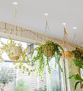 RELBRO Ceiling Hooks, Metal Hanging Ceiling Plant Hangers Indoor Outdoor, Heavy Duty, White, 4 Pcs