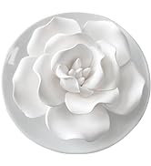 Passive Diffuser for Essential Oil-Ceramic Diffuser Non Electric Oil Diffusers for Small Mini Roo...