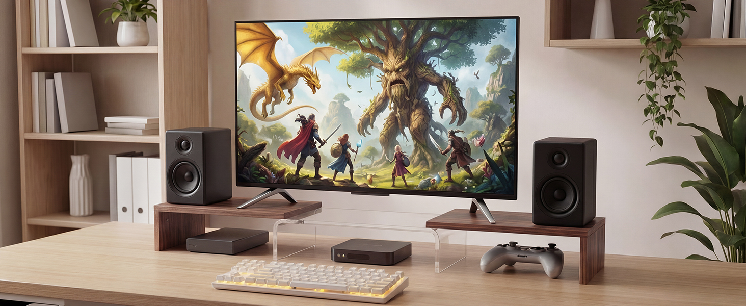 dual monitor riser