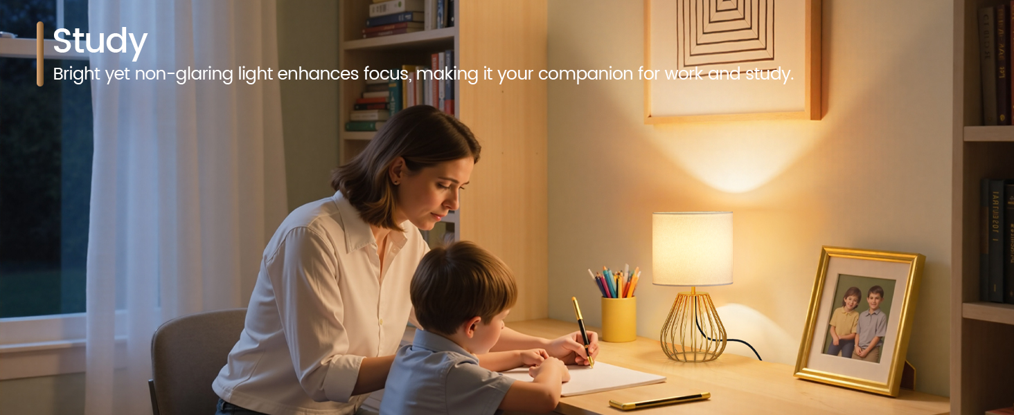 DCW06TL05 Table Lamp