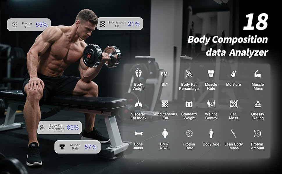 scale with bmi,body fat,muscle mass