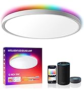 Smart Led Ceiling Light Flush Mount, MELEGAN 12 Inch 24W Ceiling Light Fixture Dimmable 2700K-650...